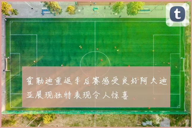 霍勒迪重返季后赛感受良好阿夫迪亚展现独特表现令人惊喜