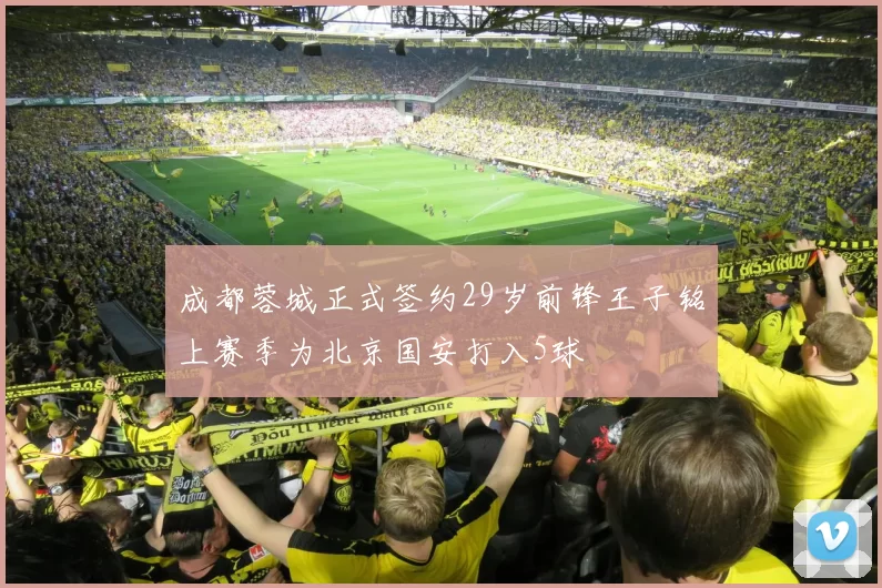 成都蓉城正式签约29岁前锋王子铭上赛季为北京国安打入5球