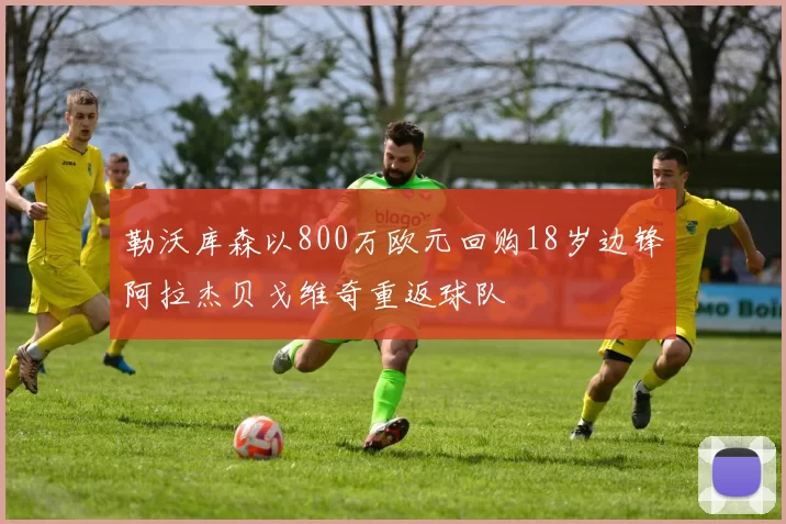 勒沃库森以800万欧元回购18岁边锋阿拉杰贝戈维奇重返球队